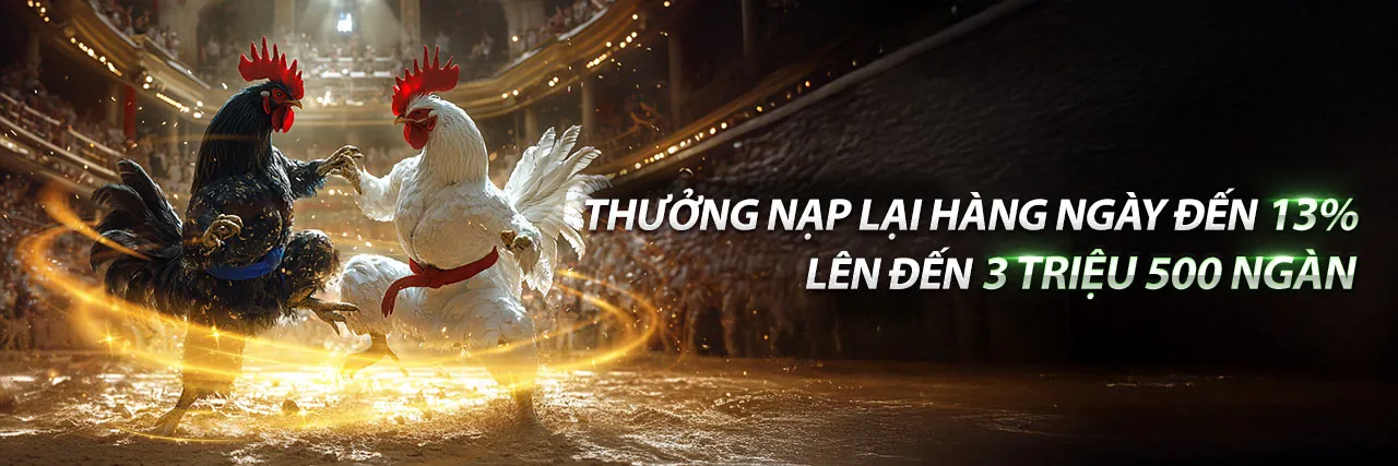 Hình ảnh chào mừng p888now